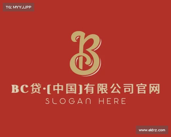 介绍BC贷·(中国)有限公司官网